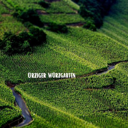 Apartment Weingut Dr Hermann I Erden Eksteriør billede